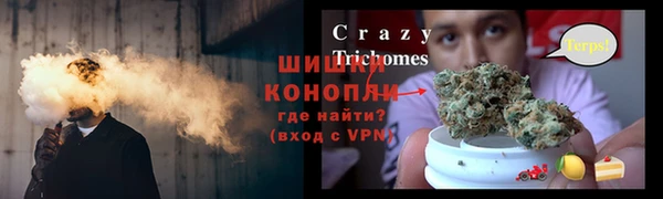 спиды Алзамай
