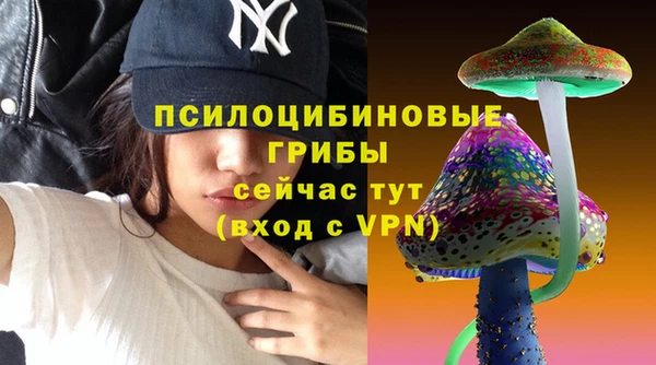 прущие крисы Алексеевка